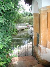 Enlarge photo 368