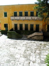 Enlarge photo 350