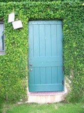 Enlarge photo 355