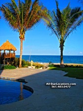 Enlarge photo 231