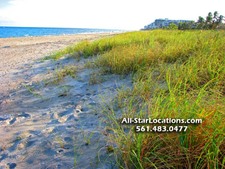 Enlarge photo 246