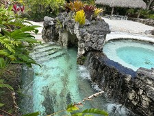 Enlarge photo 173
