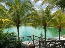 Enlarge photo 169