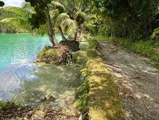 Enlarge photo 197