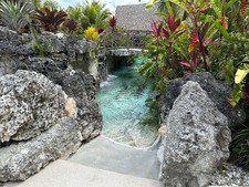 Enlarge photo 172