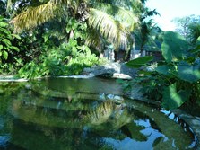 Enlarge photo 317
