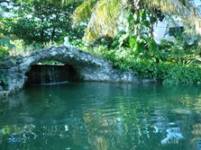 Enlarge photo 316