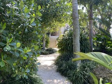 Enlarge photo 379