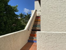Enlarge photo 385