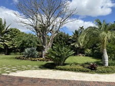 Enlarge photo 397