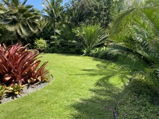 Enlarge photo 399
