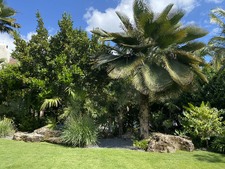 Enlarge photo 401