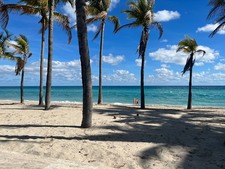 Enlarge photo 223