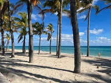 Enlarge photo 225