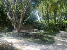 Enlarge photo 410
