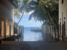 Enlarge photo 421