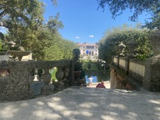 Enlarge photo 153