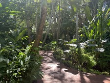 Enlarge photo 18