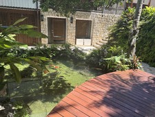 Enlarge photo 20