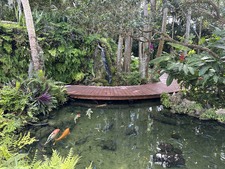 Enlarge photo 26