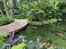 Enlarge photo 27