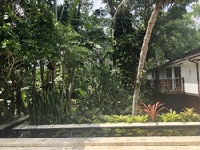 Enlarge photo 31