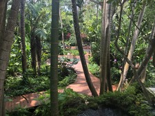 Enlarge photo 33