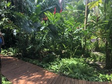 Enlarge photo 38