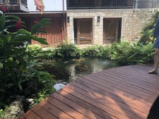 Enlarge photo 48