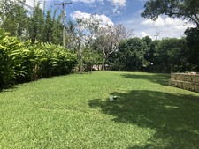 Enlarge photo 62