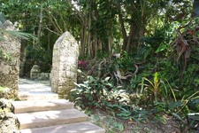 Enlarge photo 69