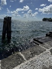 Enlarge photo 161