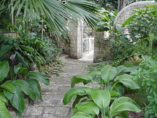 Enlarge photo 74