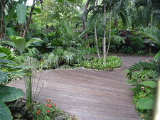 Enlarge photo 76