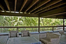 Enlarge photo 333