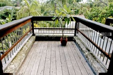 Enlarge photo 334