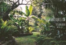 Enlarge photo 338