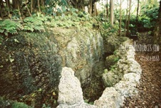 Enlarge photo 342