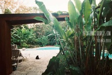 Enlarge photo 343