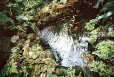 Enlarge photo 344
