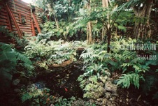 Enlarge photo 346