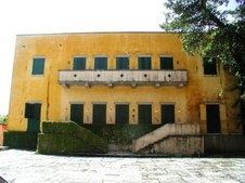 Enlarge photo 347