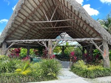 Enlarge photo 174