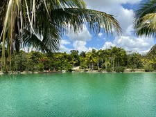 Enlarge photo 198