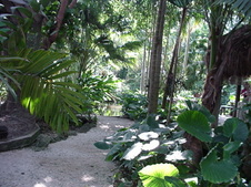 Enlarge photo 322
