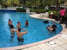 YOUNGBLOOD HAWKE - BAHAMAS