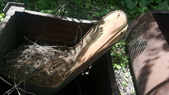 Enlarge photo 28