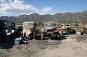 Enlarge photo 81