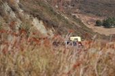 Enlarge photo 30