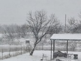 Enlarge photo 27
